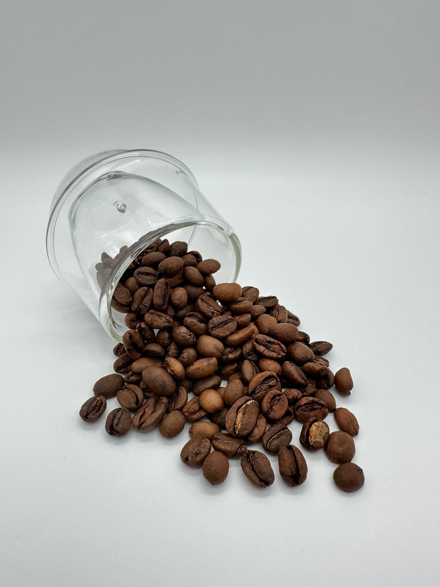 025. Ethiopia Sidamo Wuri 衣索比亞 西達摩 巫里W 🌼🍊🍇🍵